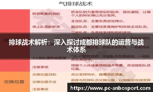 排球战术解析：深入探讨成都排球队的运营与战术体系
